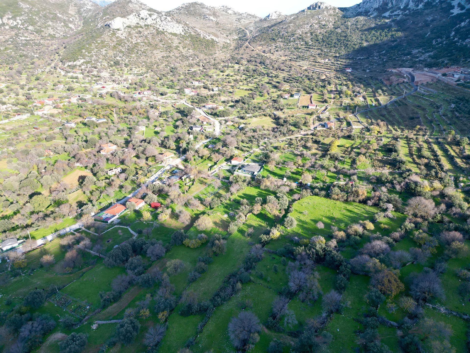 Joker: Marmaris Söğüt Resmi Yol Cepheli Doğa İçinde Tarla - Görsel 9