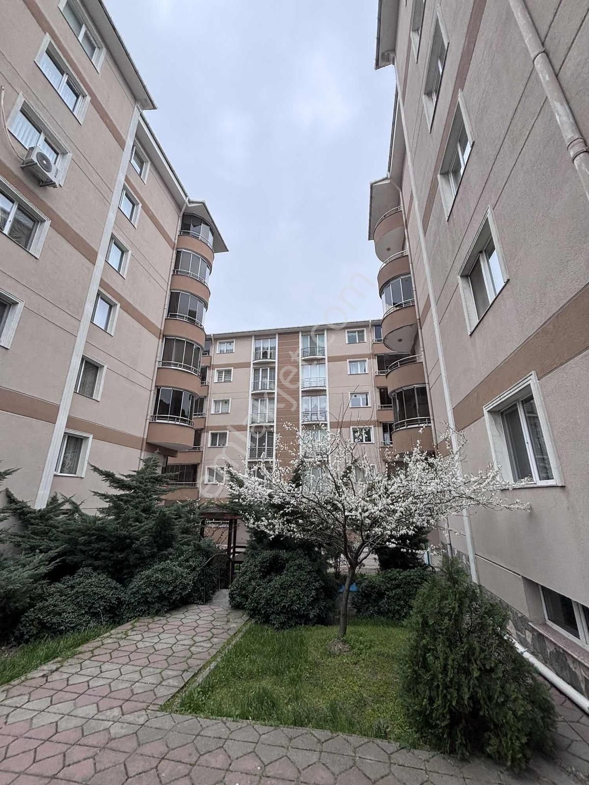 Çorlu Muhittin Mah De Site İçinde 3+1 Kiralık Daire Yüksek Giriş - Görsel 17