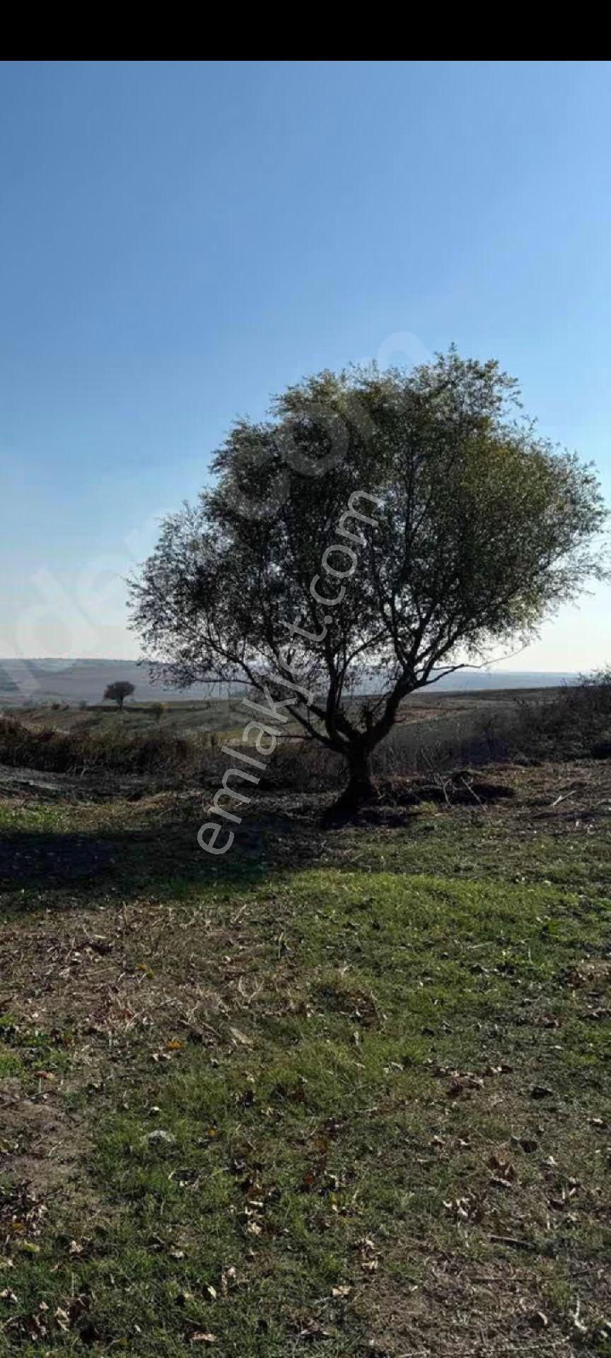 My Ekipdenistanbul Silivri Değirmenköyde Satılık Yatırımlık - Görsel 35