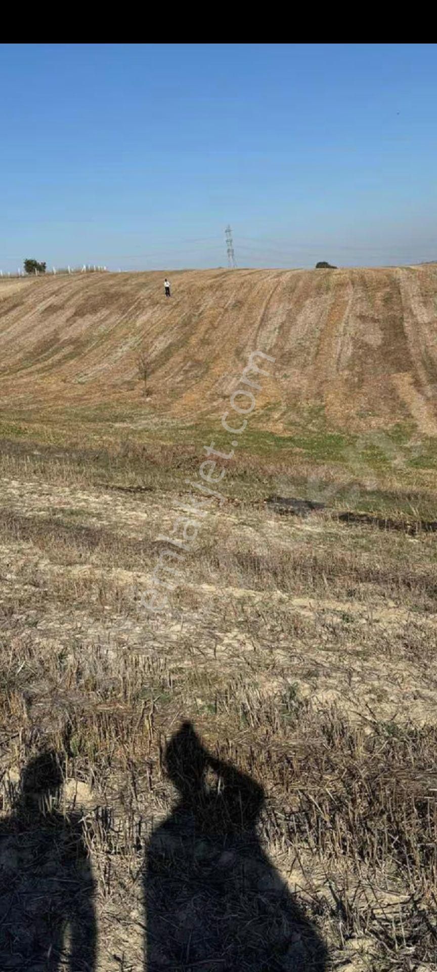 My Ekipdenistanbul Silivri Değirmenköyde Satılık Yatırımlık - Görsel 34