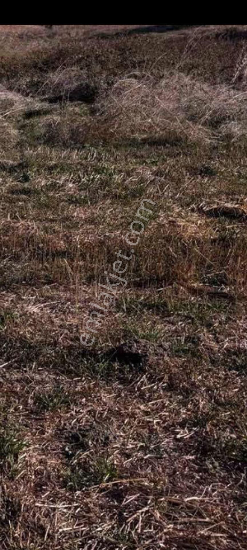 My Ekipdenistanbul Silivri Değirmenköyde Satılık Yatırımlık - Görsel 33