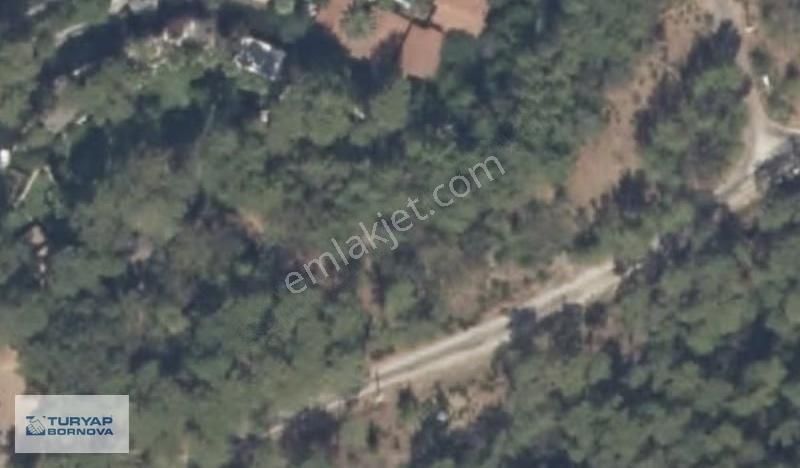 Marmaris Hisarönü'nde Satılık 204 M2 Tarla - Görsel 2