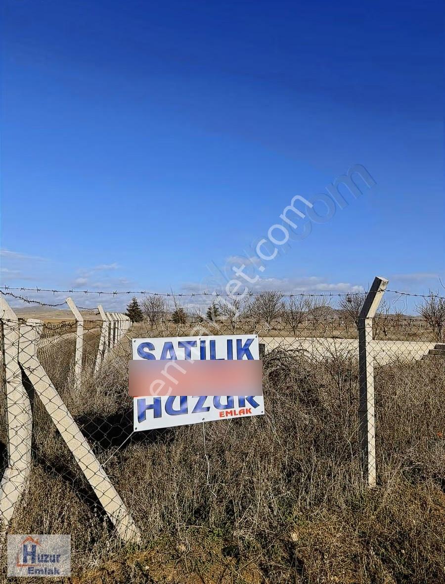 Çıkrık Beldesinde İmara Komşu Yaklaşık 300 Ağaçlık Bahçe..! - Görsel 5