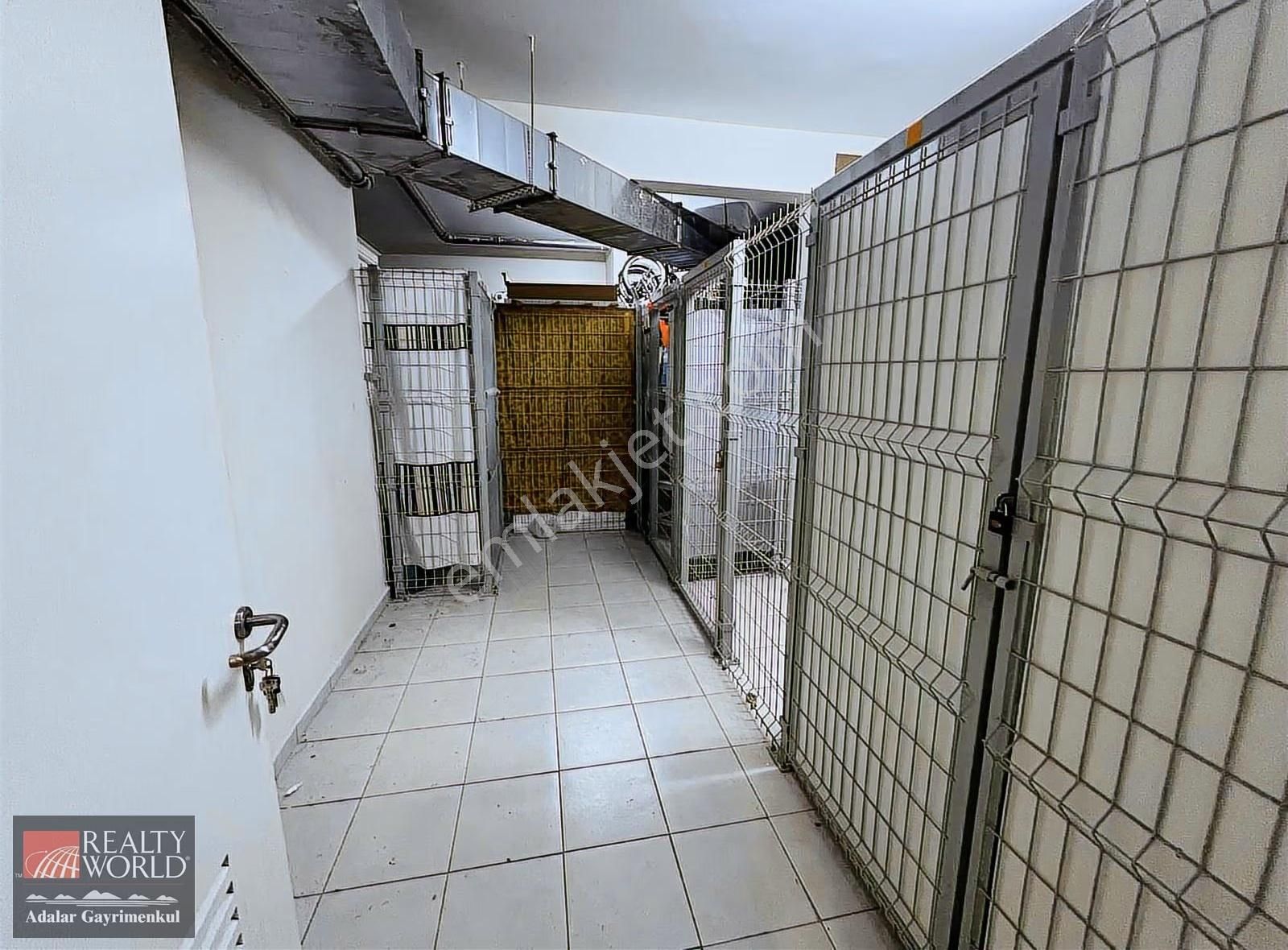 Sercan Yurtseven'den Nısh Adalar'da 1.etap Kiralık 1+1 - Görsel 4