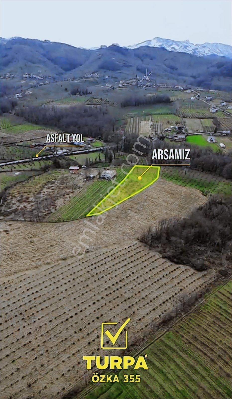 Turpa Özka 355'den Satılık Salıpazarı Merkezi Fırsat Arsası - Görsel 6