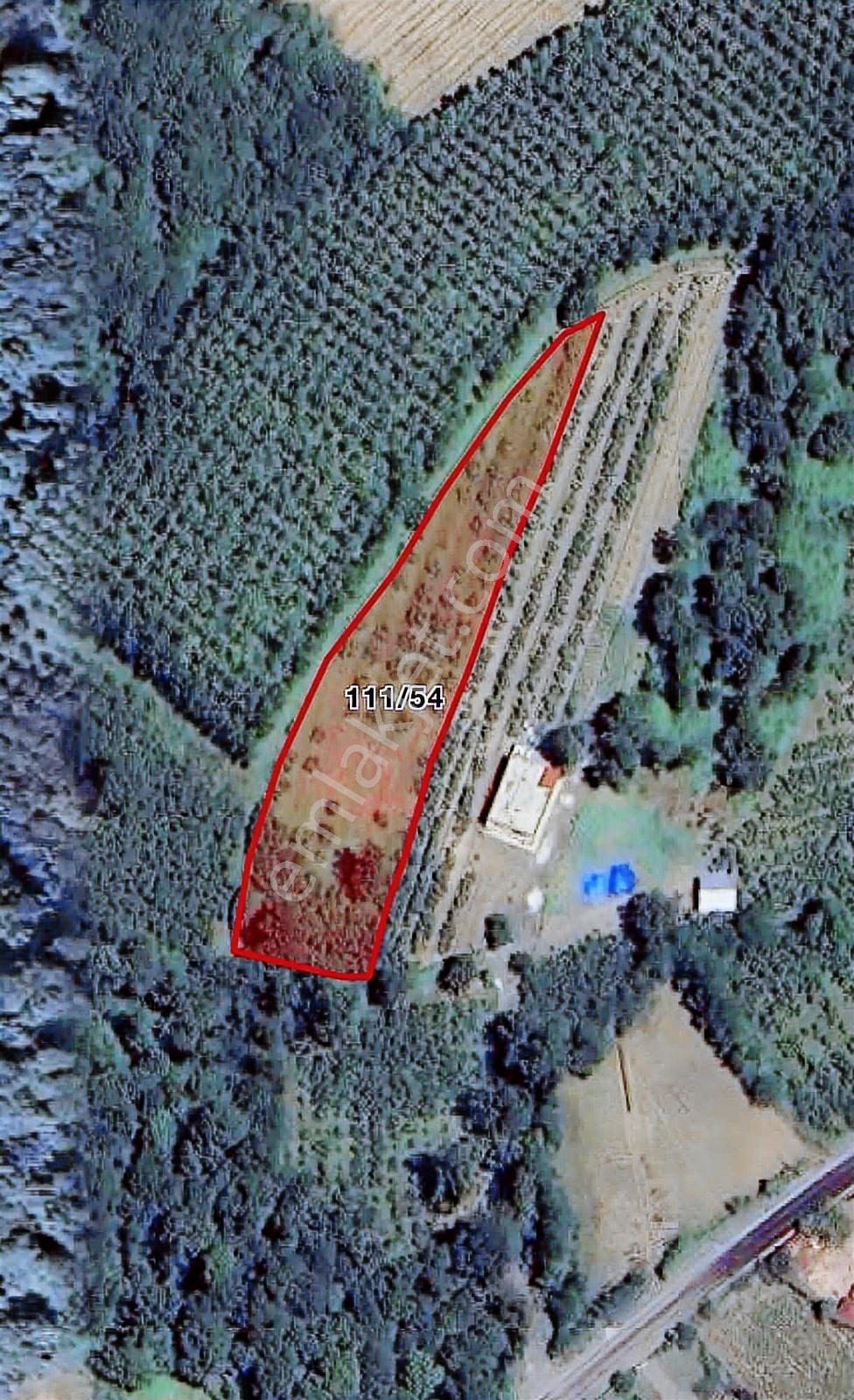 Turpa Özka 355'den Satılık Salıpazarı Merkezi Fırsat Arsası - Görsel 7