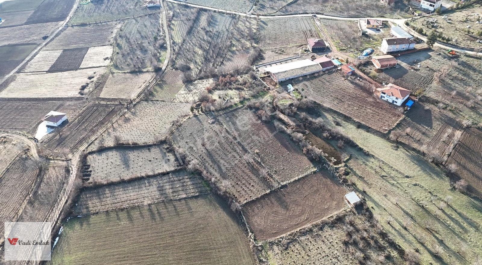 Vadi Emlak'tan Yazıbaşı Köyü'nde Satılık 2,900 M² Tarla - Görsel 28