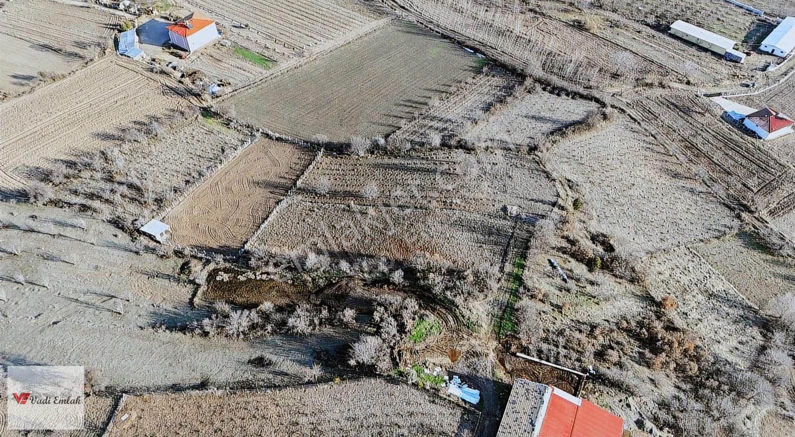 Vadi Emlak'tan Yazıbaşı Köyü'nde Satılık 2,900 M² Tarla - Görsel 24
