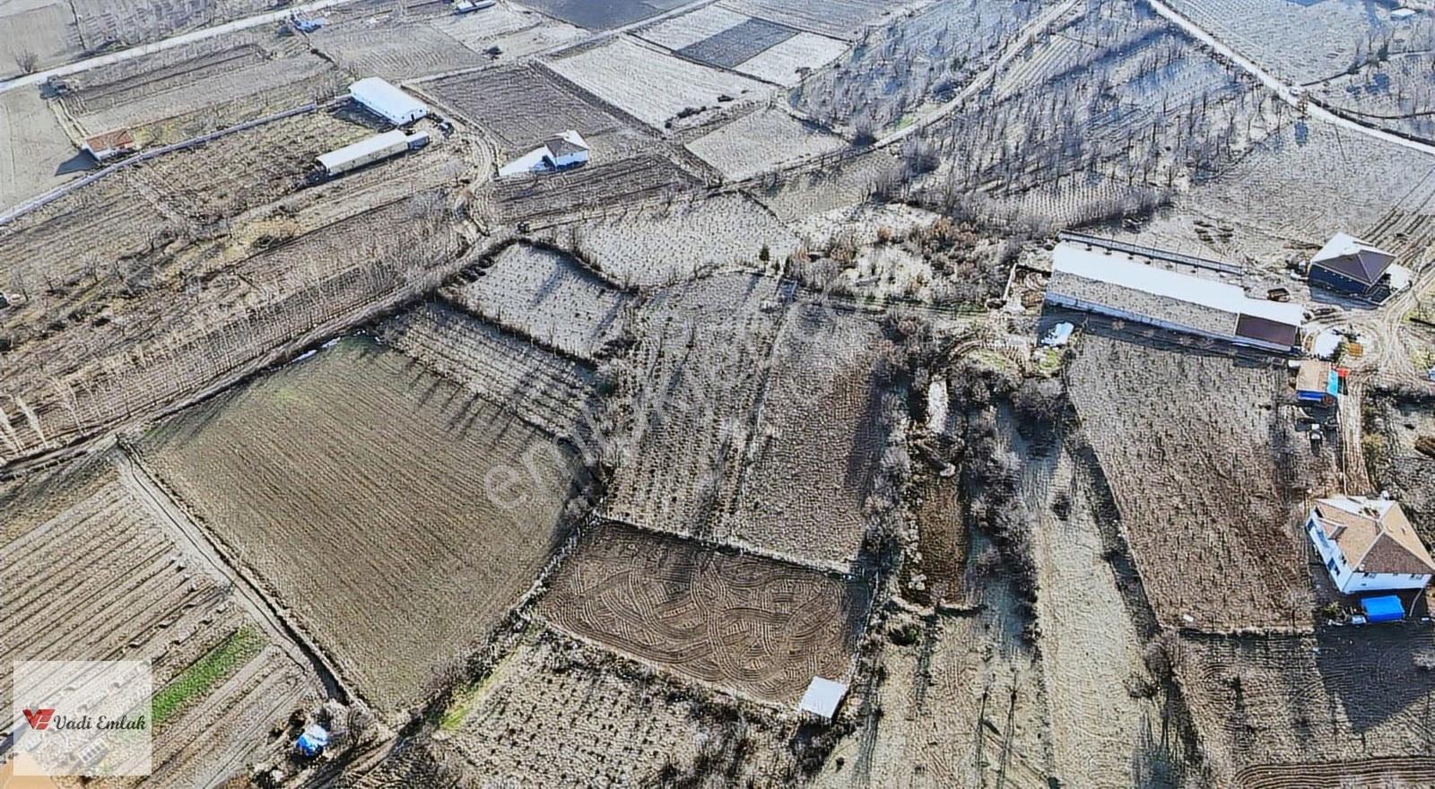 Vadi Emlak'tan Yazıbaşı Köyü'nde Satılık 2,900 M² Tarla - Görsel 10