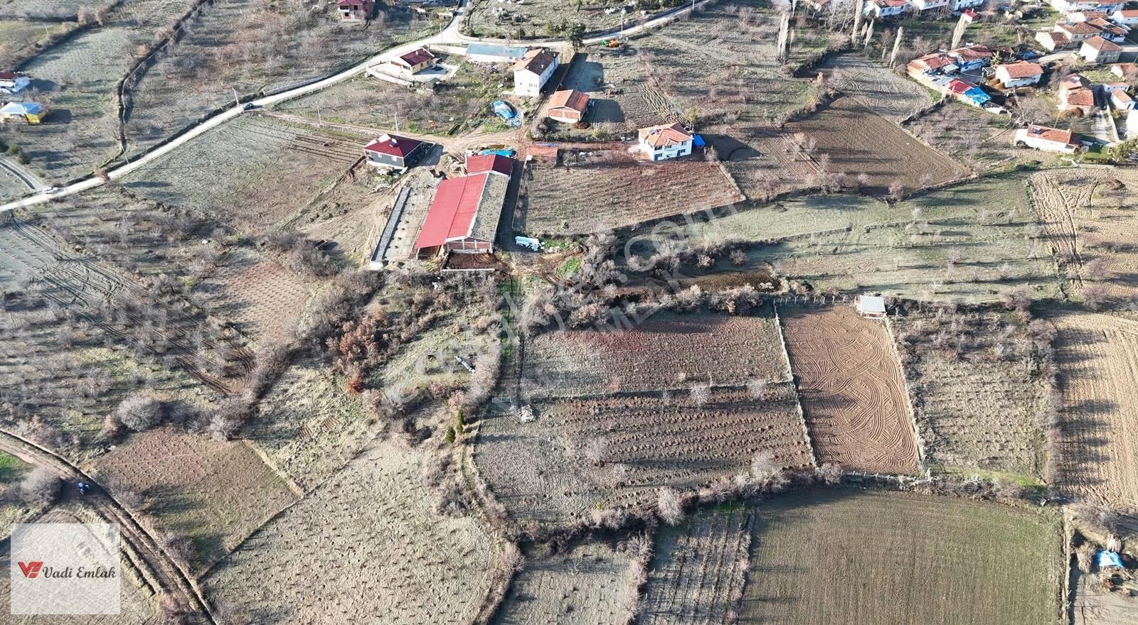 Vadi Emlak'tan Yazıbaşı Köyü'nde Satılık 2,900 M² Tarla - Görsel 17