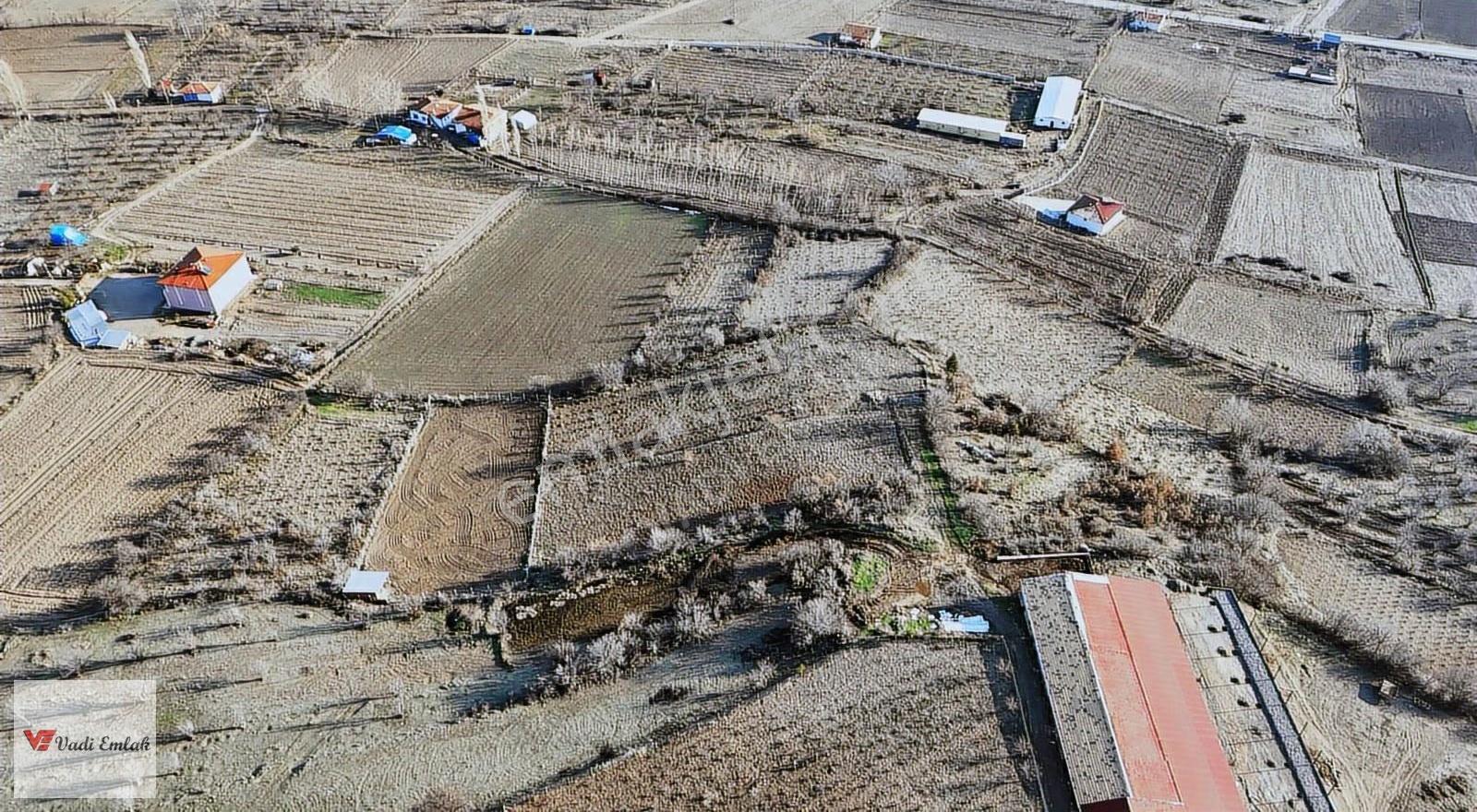 Vadi Emlak'tan Yazıbaşı Köyü'nde Satılık 2,900 M² Tarla - Görsel 21