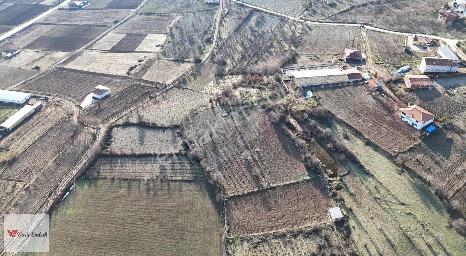 Vadi Emlak'tan Yazıbaşı Köyü'nde Satılık 2,900 M² Tarla - Görsel 6