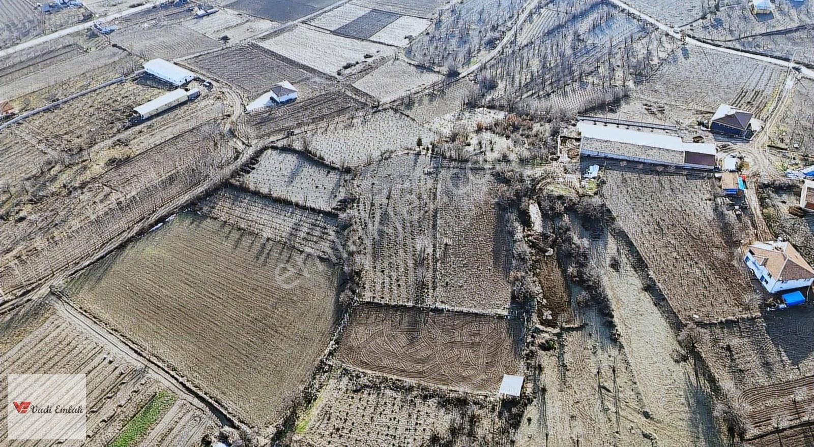 Vadi Emlak'tan Yazıbaşı Köyü'nde Satılık 2,900 M² Tarla - Görsel 23