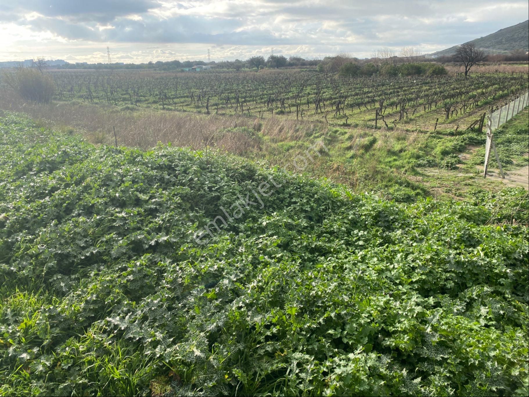 Sahibinden Dsi Yoluna Sıfır! Haykıran'da 596m² Fırsat Parsel - Görsel 7