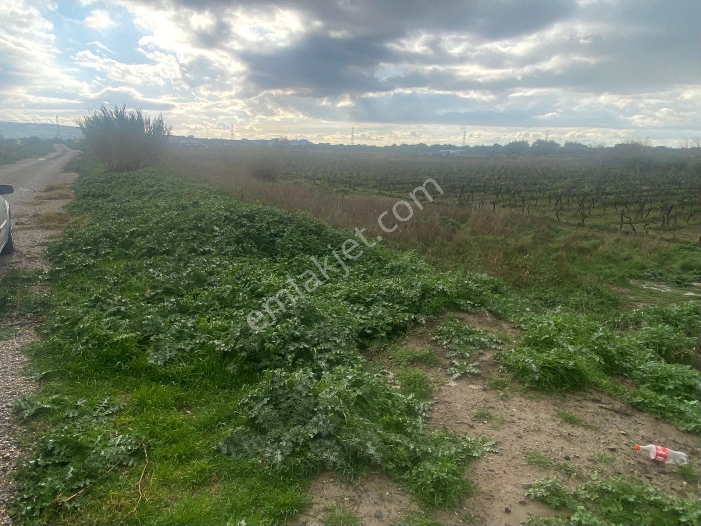 Sahibinden Dsi Yoluna Sıfır! Haykıran'da 596m² Fırsat Parsel - Görsel 8