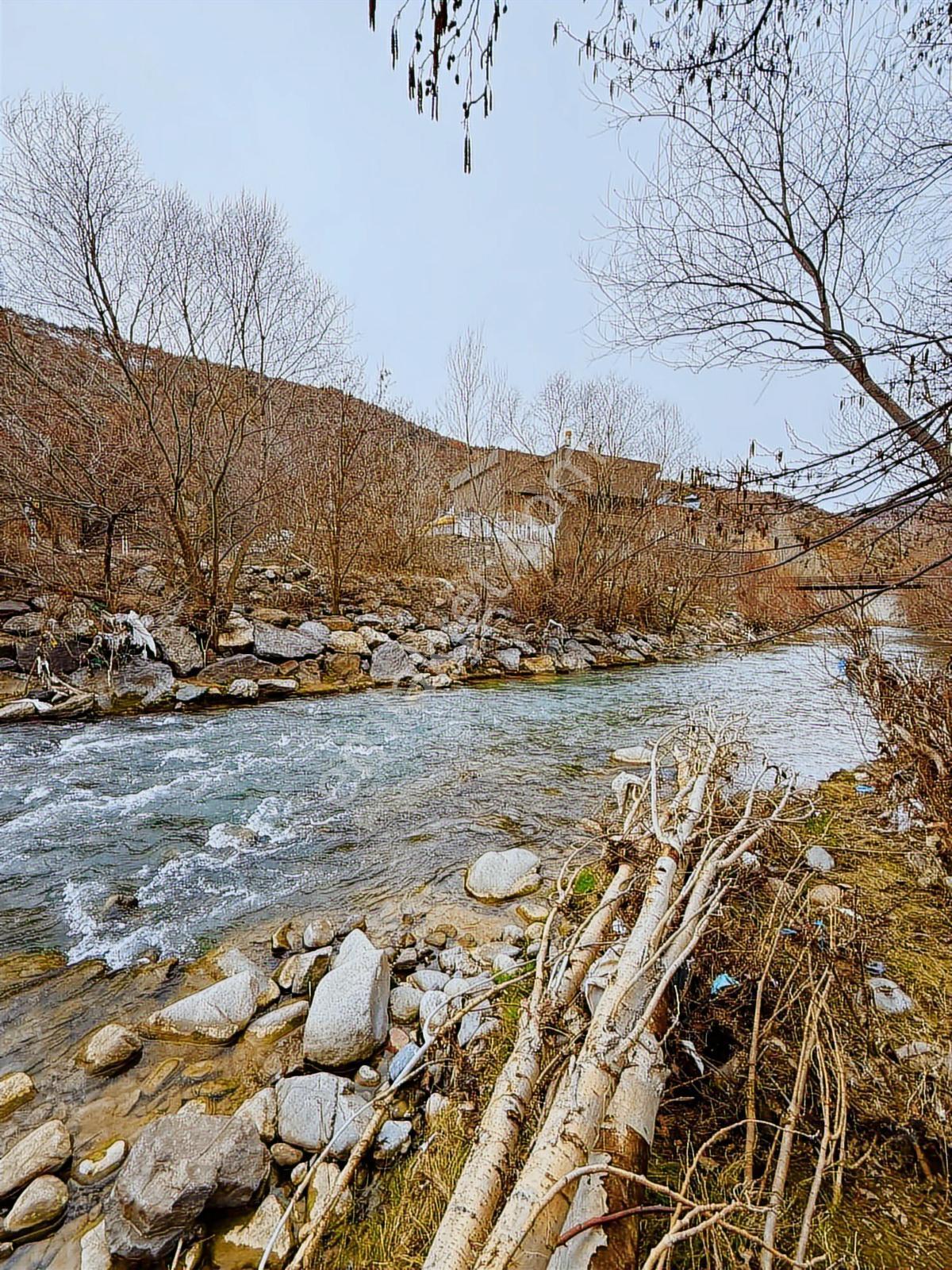 Gümüşhane Torulda Fırsat 11 Dönüm Arazi - Görsel 25