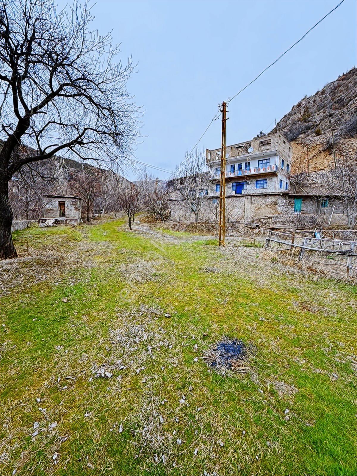 Gümüşhane Torulda Fırsat 11 Dönüm Arazi - Görsel 15