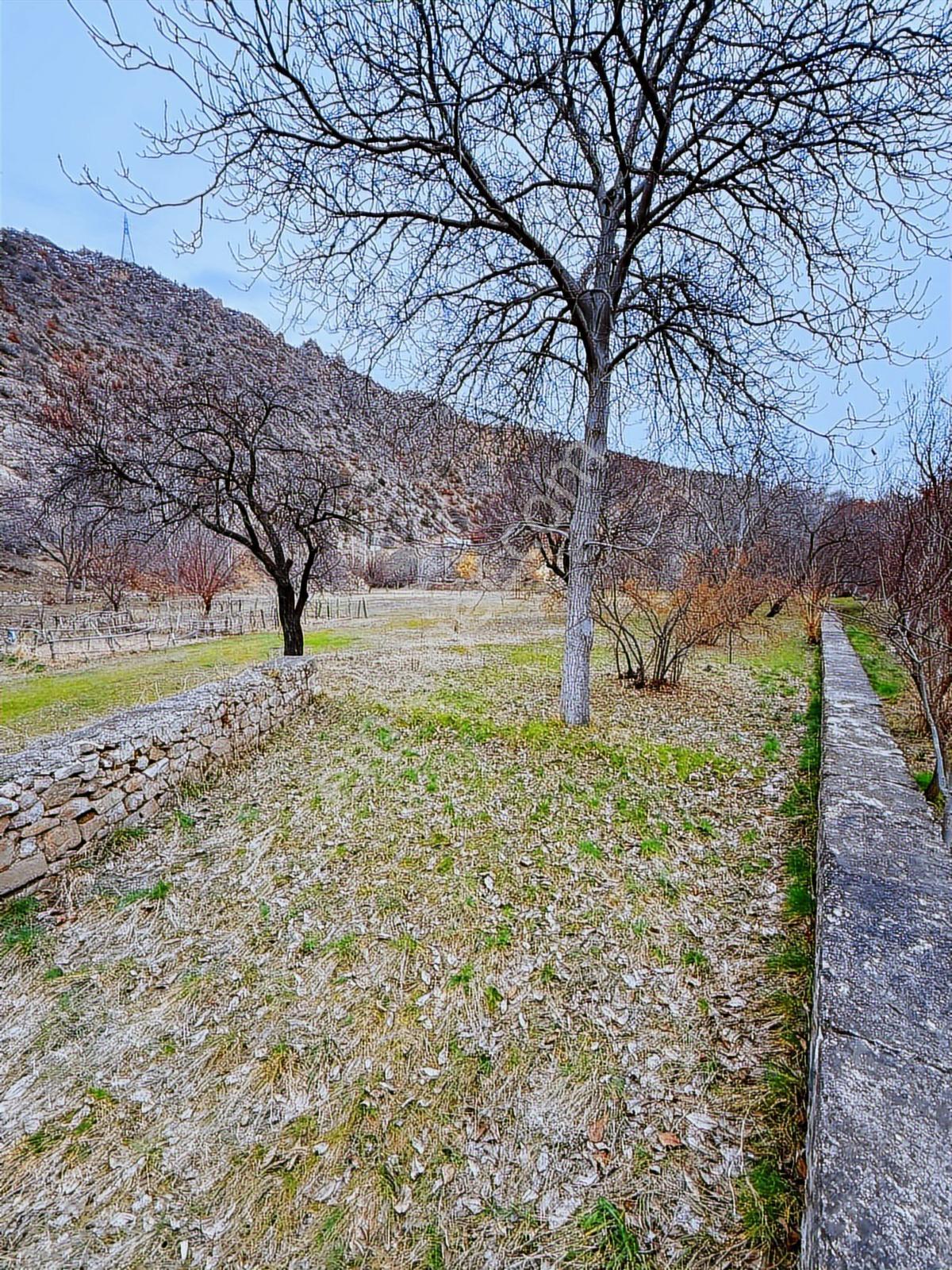 Gümüşhane Torulda Fırsat 11 Dönüm Arazi - Görsel 6