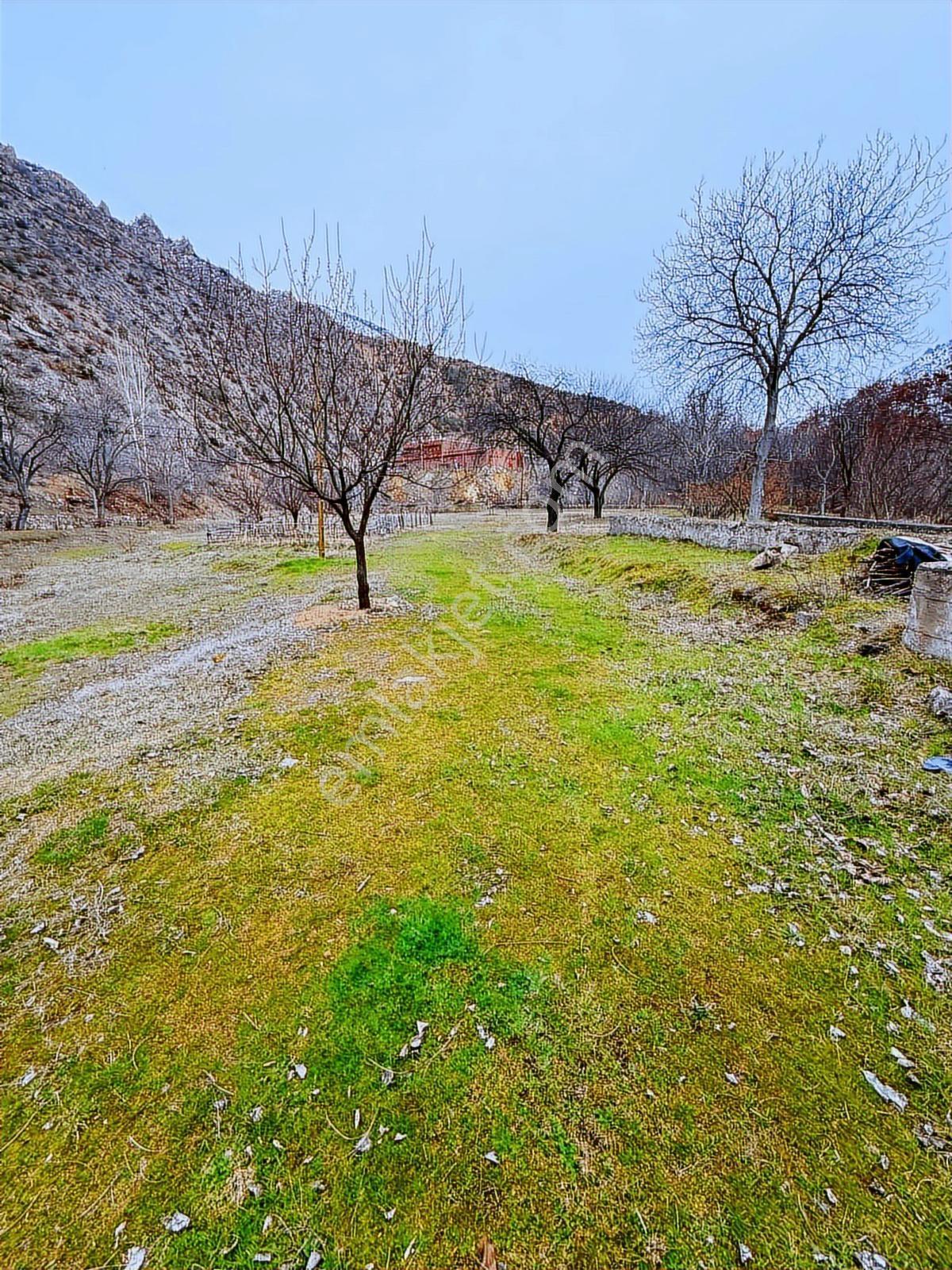Gümüşhane Torulda Fırsat 11 Dönüm Arazi - Görsel 2