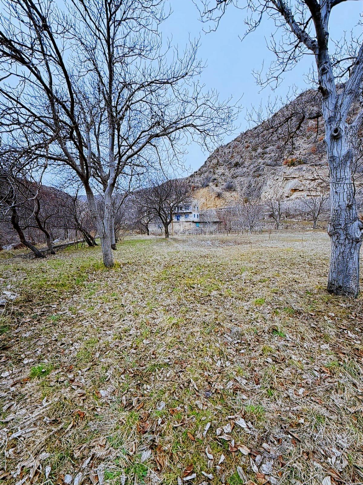 Gümüşhane Torulda Fırsat 11 Dönüm Arazi - Görsel 18