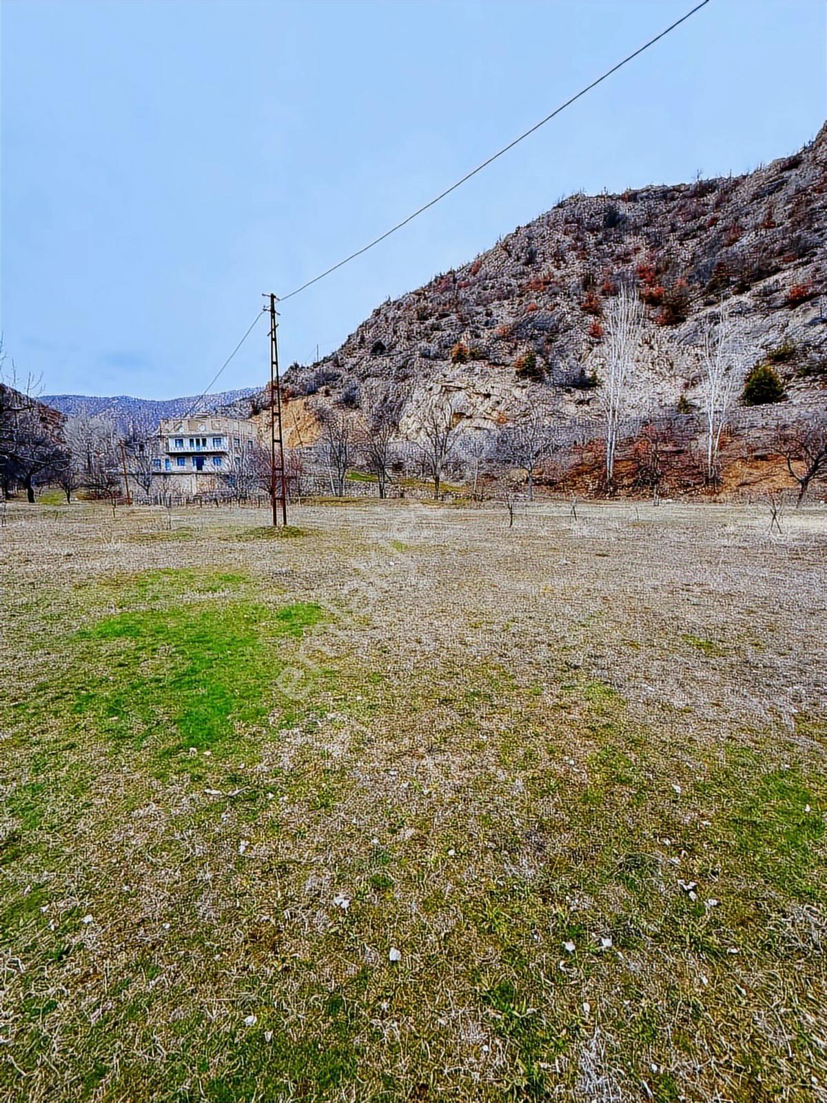 Gümüşhane Torulda Fırsat 11 Dönüm Arazi - Görsel 22