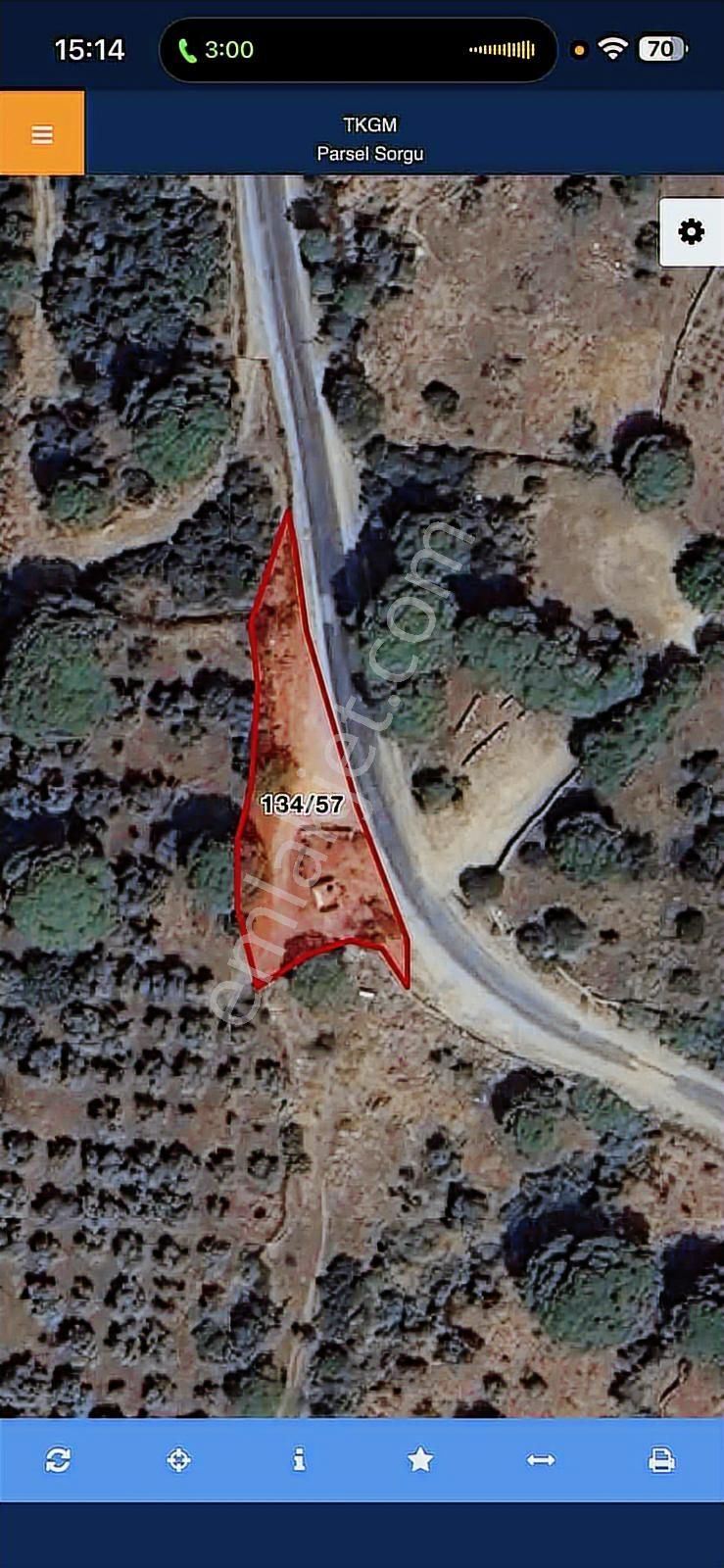 Aydın Kocarlı Yola Cephe Yatırımlık Zeytinlik