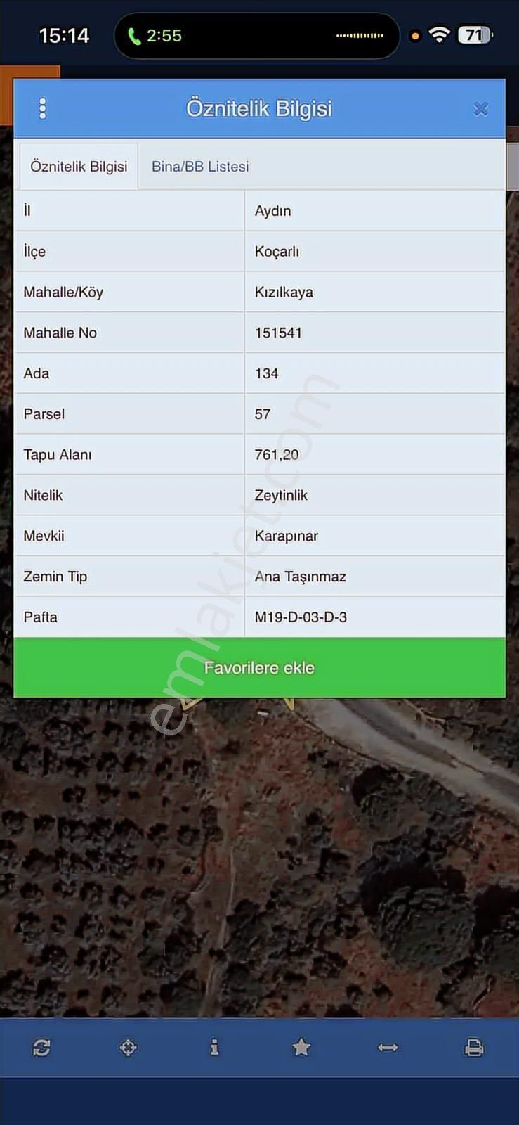 Aydın Kocarlı Yola Cephe Yatırımlık Zeytinlik - Görsel 2