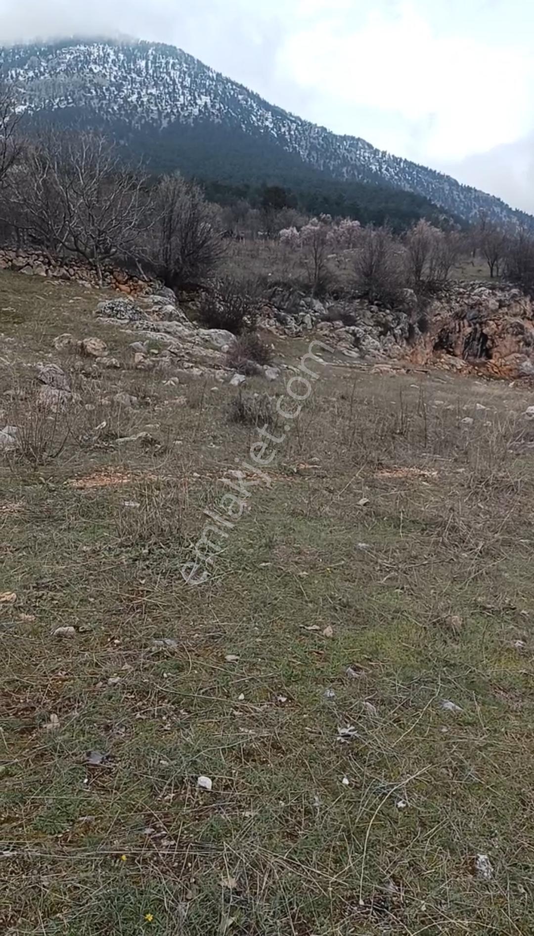 Pozantı Yenikonacıkta 1.032m2 Tek Tapulu İmarlı Satılık Son3 Gün - Görsel 20