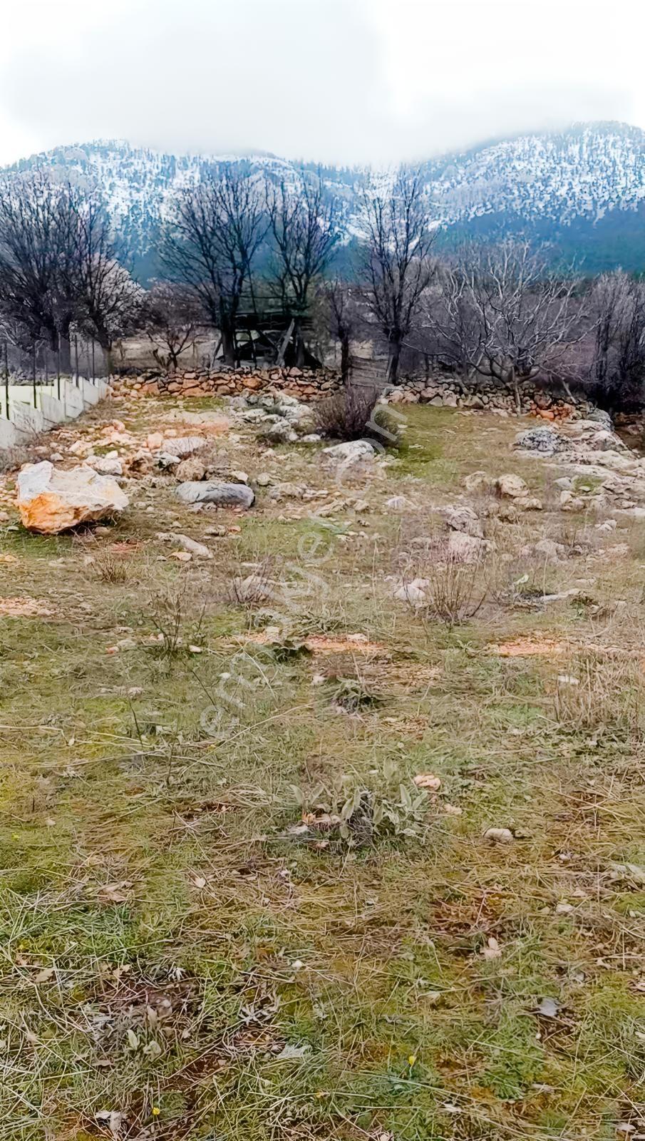 Pozantı Yenikonacıkta 1.032m2 Tek Tapulu İmarlı Satılık Son3 Gün