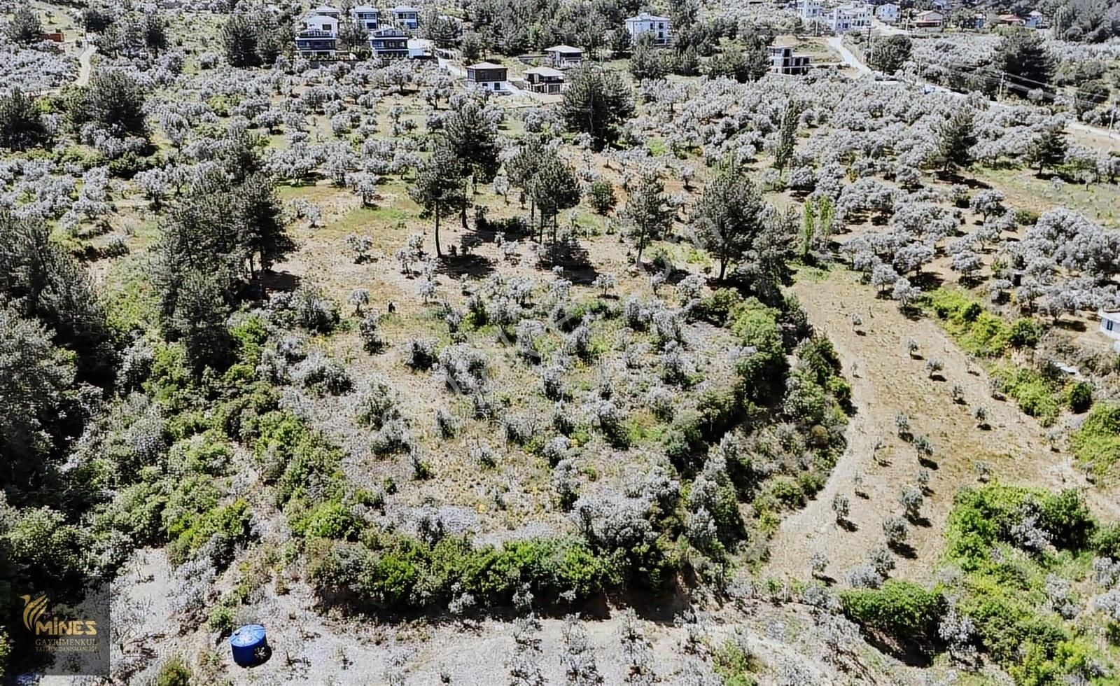 Aşağı Kızılcada 684 M² Satılık Bahçe - Görsel 2