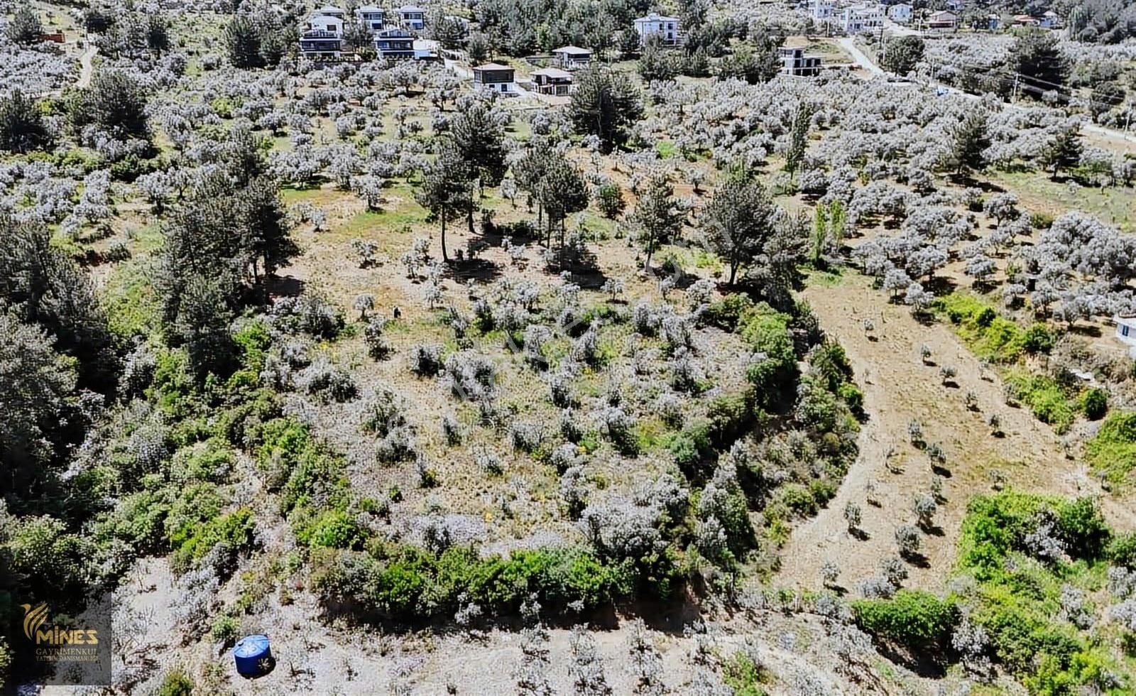 Aşağı Kızılcada 684 M² Satılık Bahçe - Görsel 6