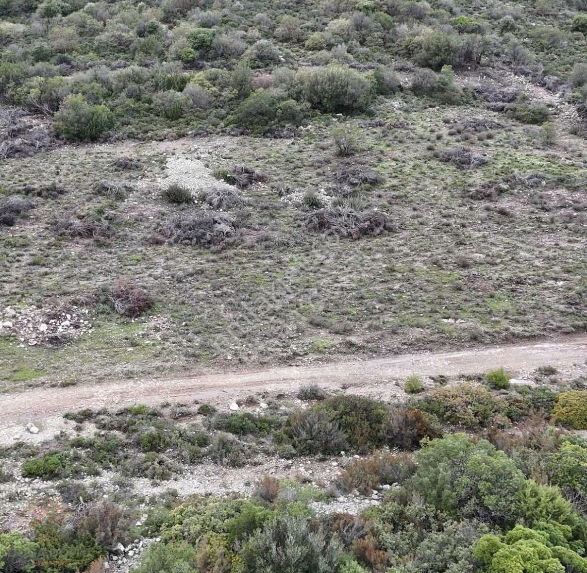 Doğa Dostu'ndan Karaburun Eğlenhoca Gölet Mevki 8102 M2 Tarla - Görsel 16