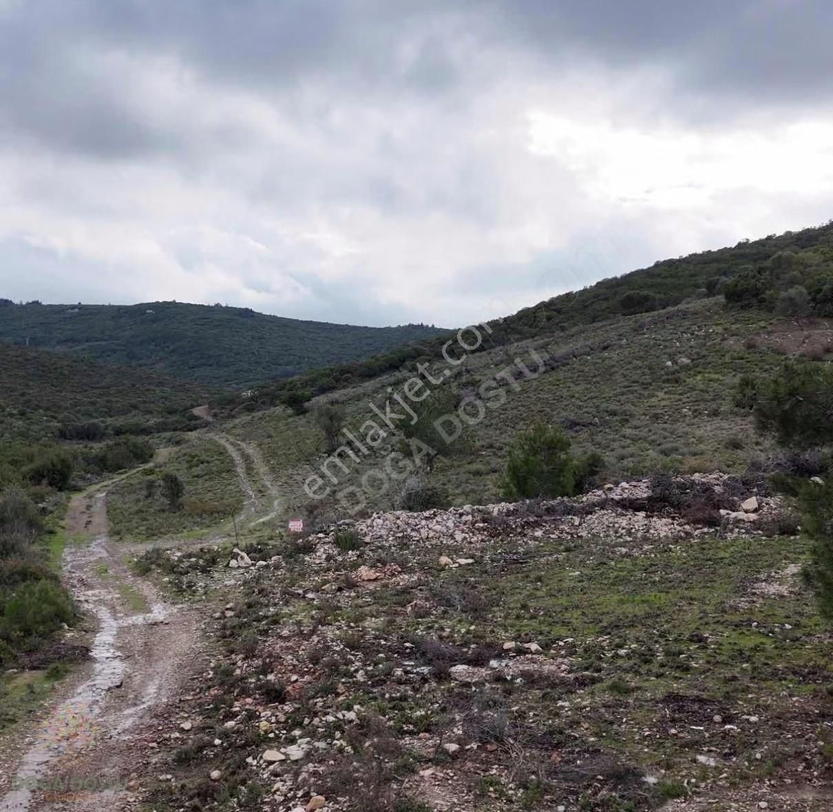 Doğa Dostu'ndan Karaburun Eğlenhoca Gölet Mevki 8102 M2 Tarla - Görsel 17