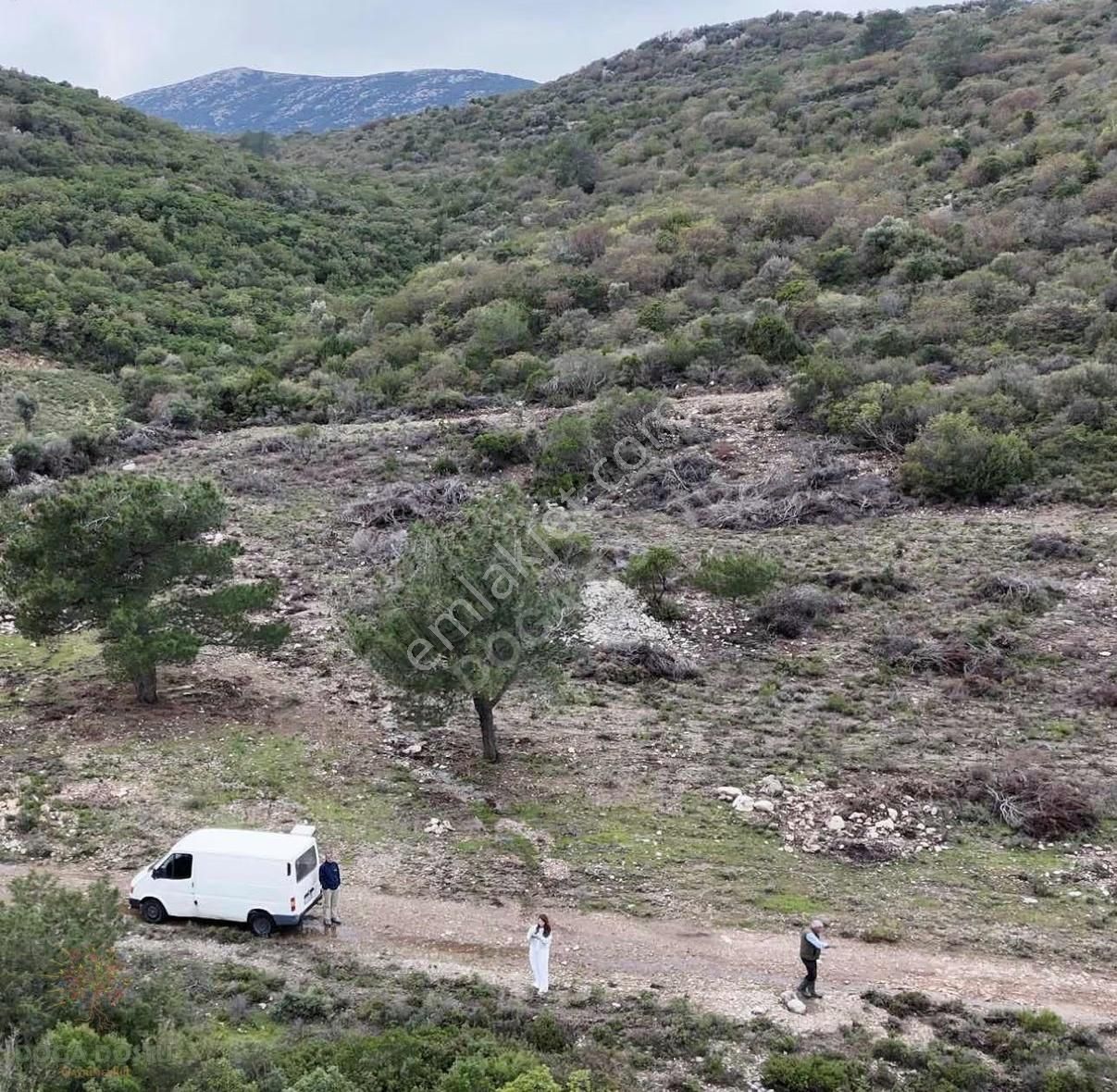 Doğa Dostu'ndan Karaburun Eğlenhoca Gölet Mevki 8102 M2 Tarla - Görsel 6