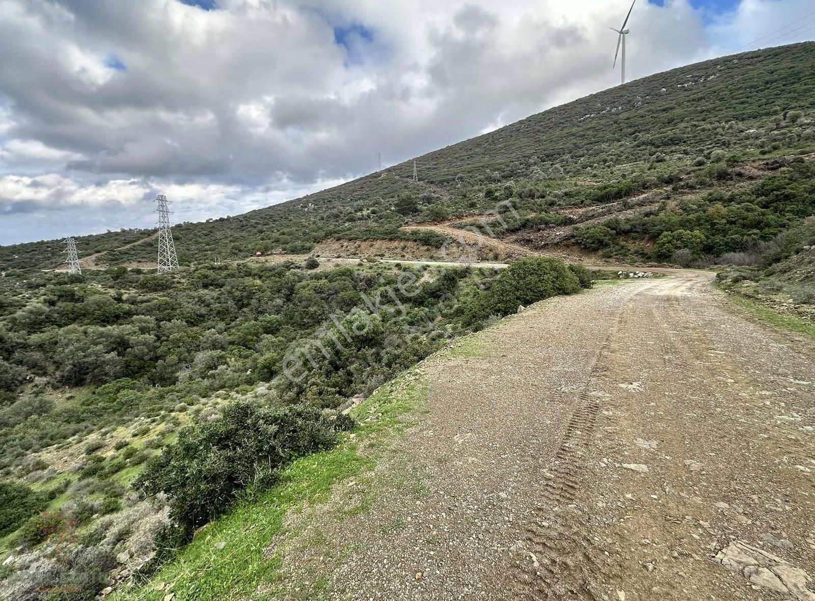 Doğa Dostu'ndan Karaburun Eğlenhoca Gölet Mevki 8102 M2 Tarla - Görsel 11