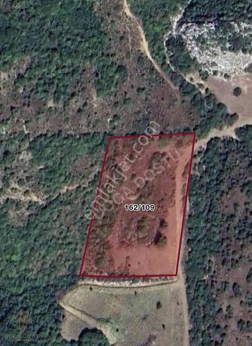 Doğa Dostu'ndan Karaburun Eğlenhoca Gölet Mevki 8102 M2 Tarla - Görsel 2