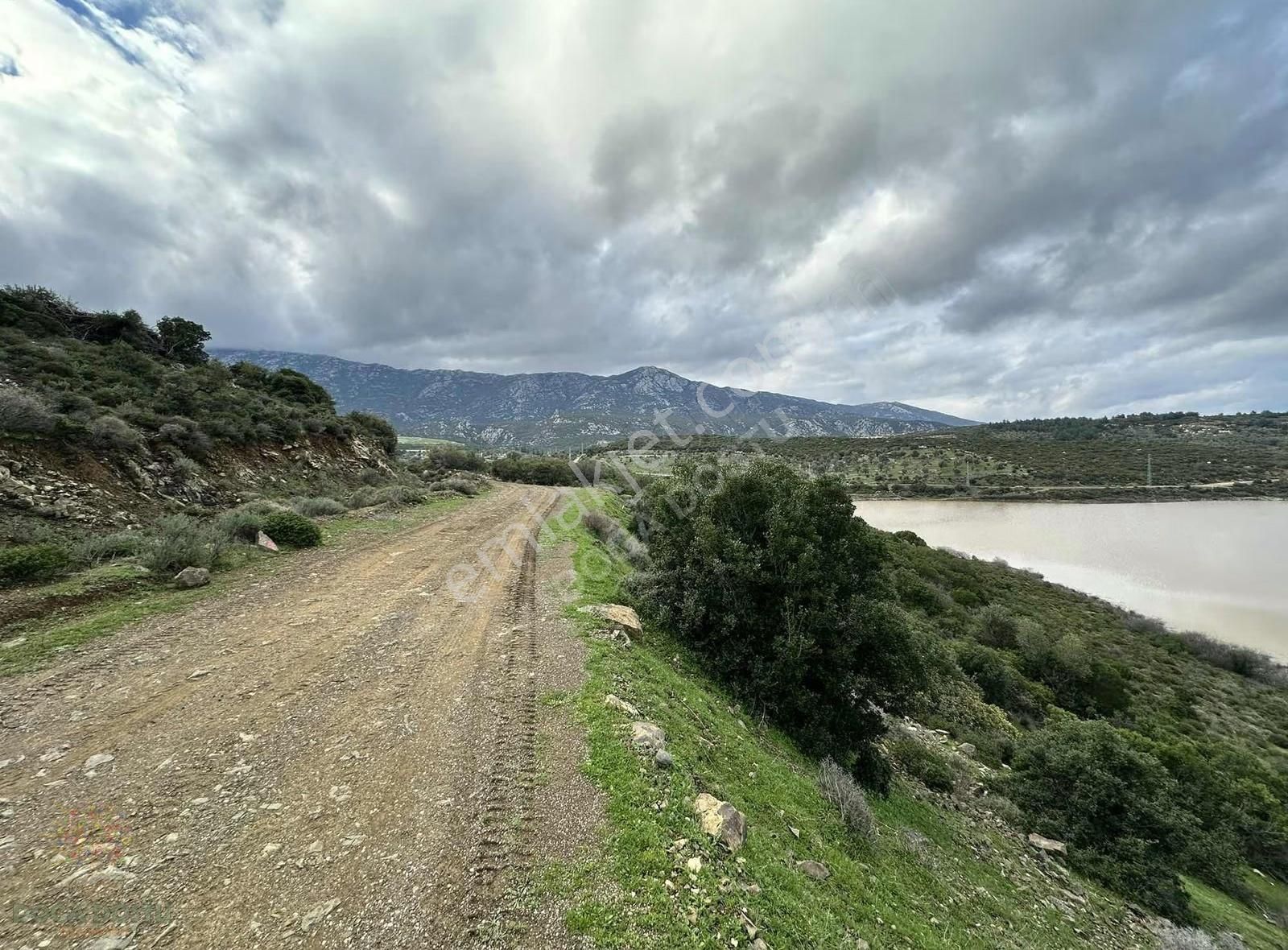 Doğa Dostu'ndan Karaburun Eğlenhoca Gölet Mevki 8102 M2 Tarla - Görsel 12