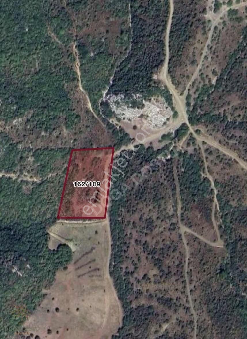 Doğa Dostu'ndan Karaburun Eğlenhoca Gölet Mevki 8102 M2 Tarla - Görsel 18