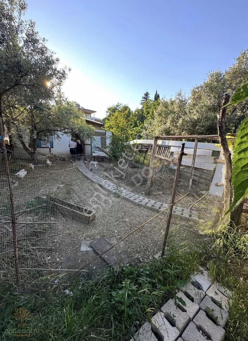 Doğa Dostu'ndan Mordoğan'da 870m2 Arsa İçinde Müstakil Ev - Görsel 3