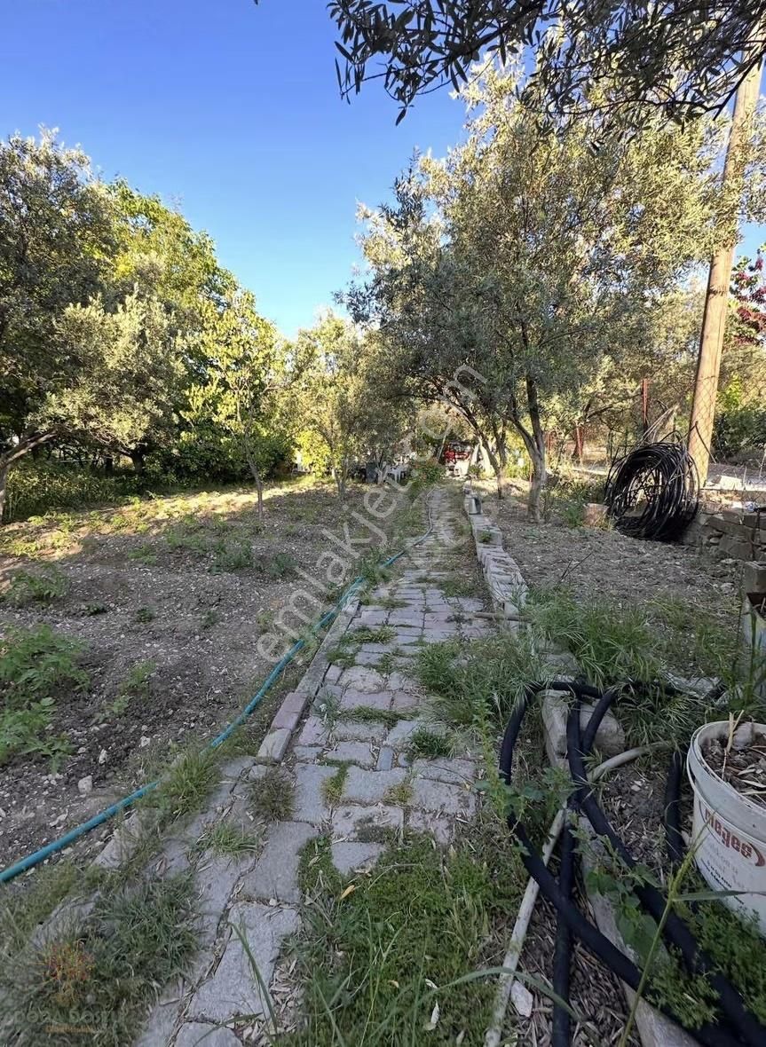 Doğa Dostu'ndan Mordoğan'da 870m2 Arsa İçinde Müstakil Ev - Görsel 26