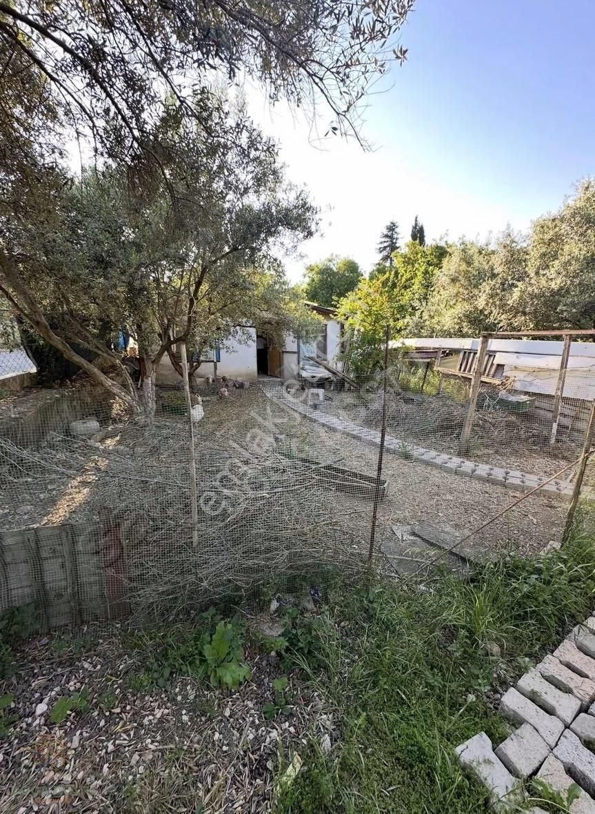 Doğa Dostu'ndan Mordoğan'da 870m2 Arsa İçinde Müstakil Ev - Görsel 21