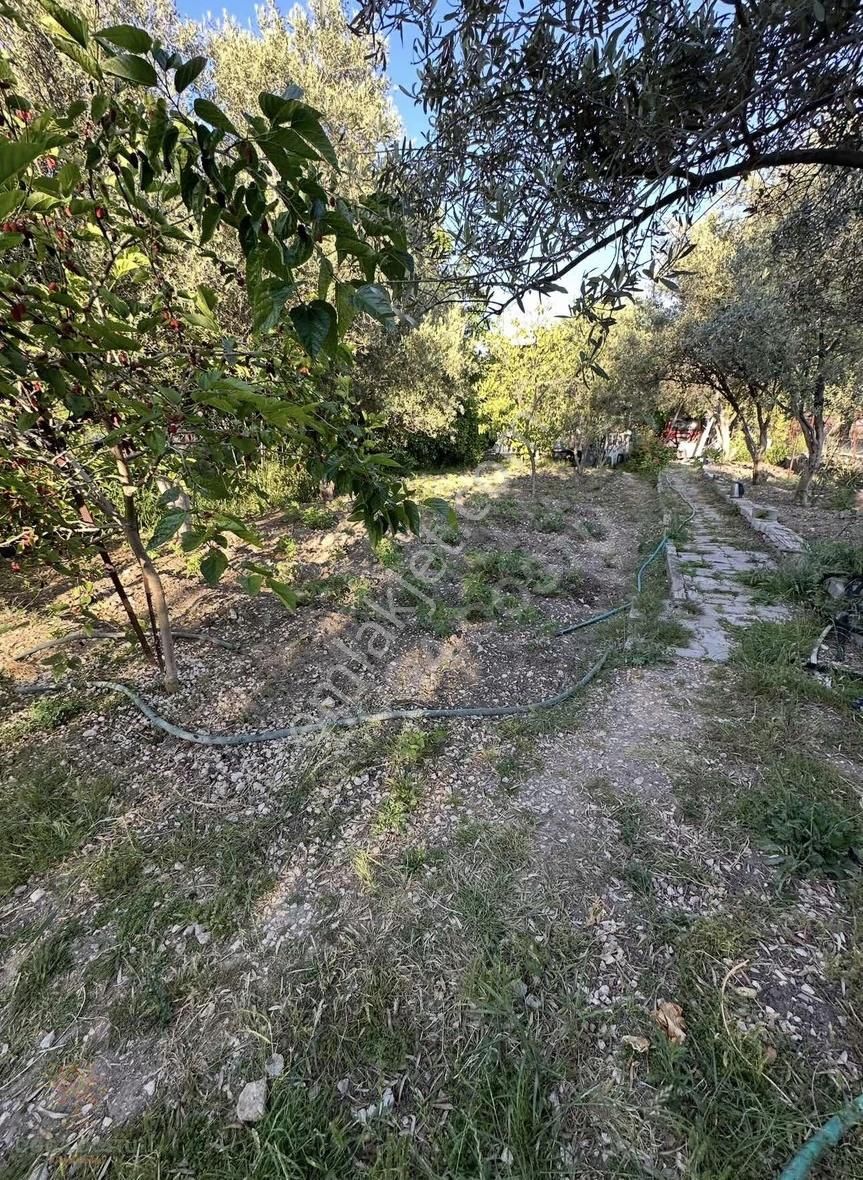 Doğa Dostu'ndan Mordoğan'da 870m2 Arsa İçinde Müstakil Ev - Görsel 20
