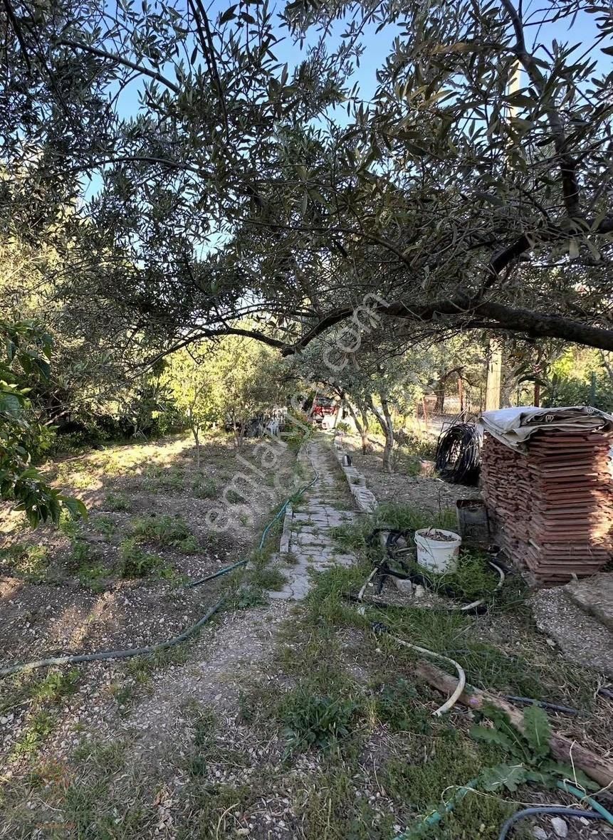 Doğa Dostu'ndan Mordoğan'da 870m2 Arsa İçinde Müstakil Ev - Görsel 11