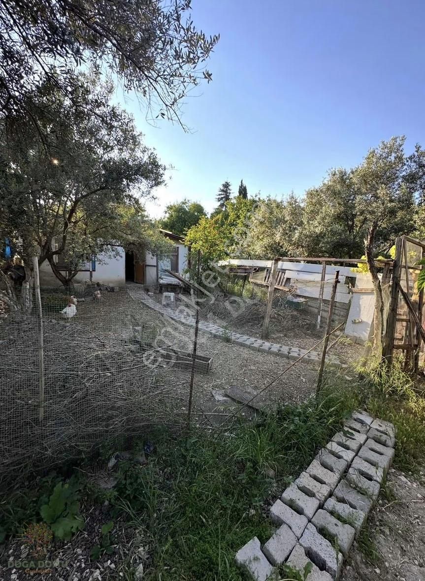 Doğa Dostu'ndan Mordoğan'da 870m2 Arsa İçinde Müstakil Ev - Görsel 12