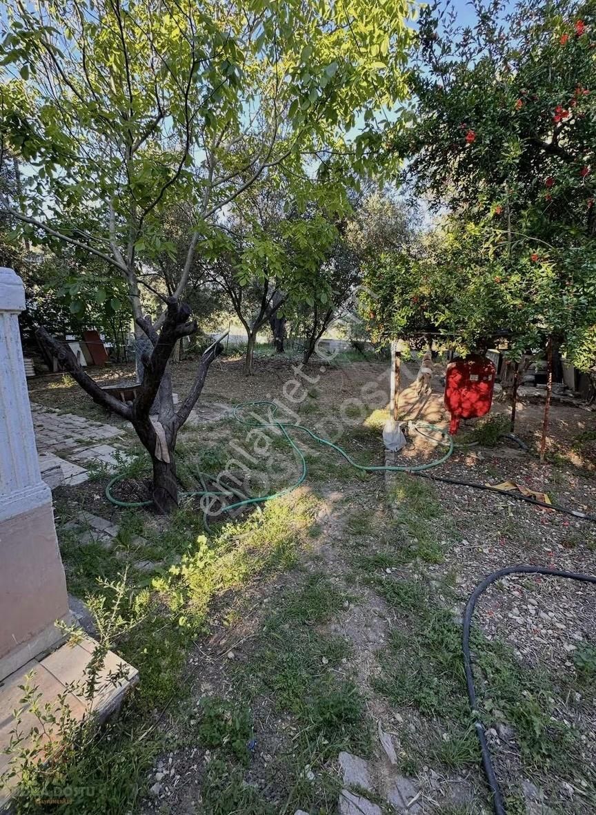 Doğa Dostu'ndan Mordoğan'da 870m2 Arsa İçinde Müstakil Ev - Görsel 35