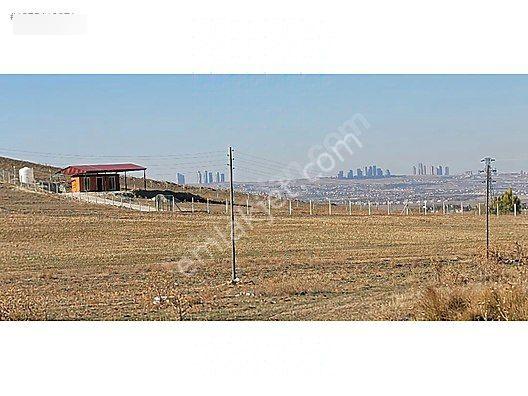 Ankara Gölbaşı Yağlıpınar Mahallesi 7541 M2 Tek Tapu Arsa - Görsel 3