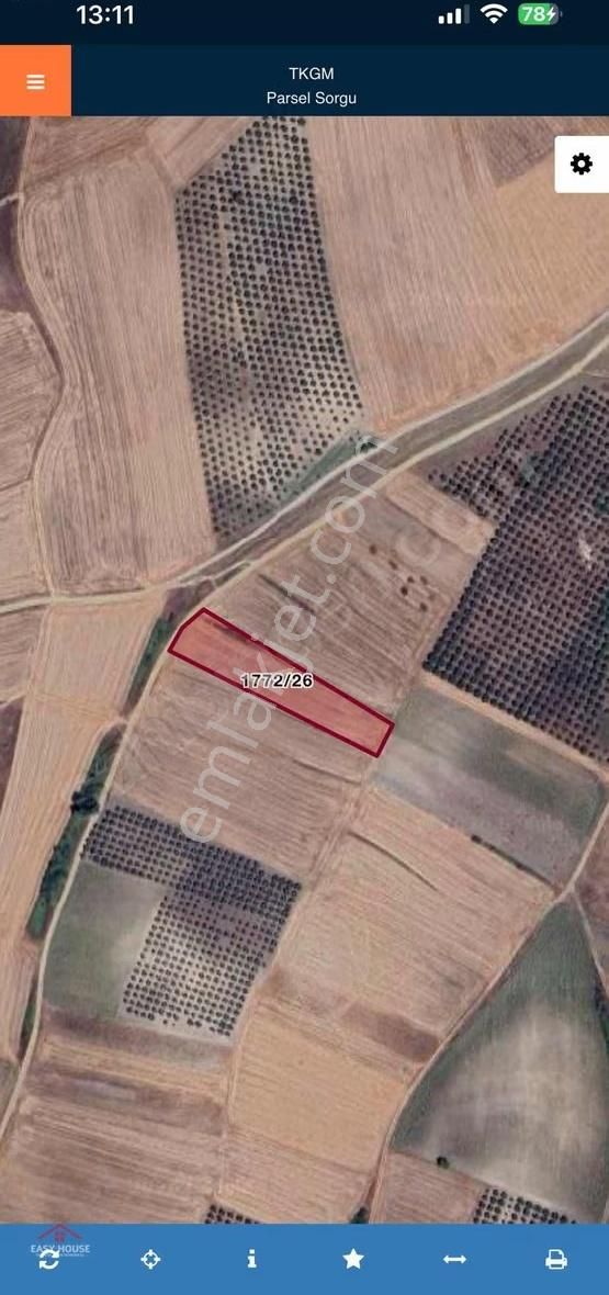 Kemalpaşa Çeltikçi 4121 Metrekare Satılık Fırsat Tarla - Görsel 2