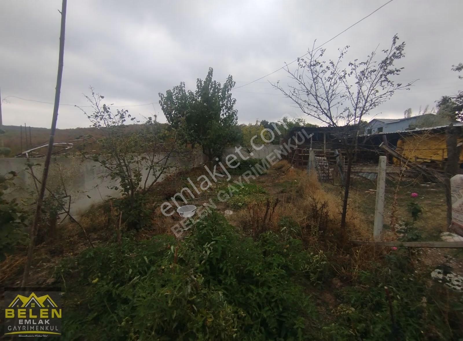 Bahcelı Mustakıl Koy Evı - Görsel 3