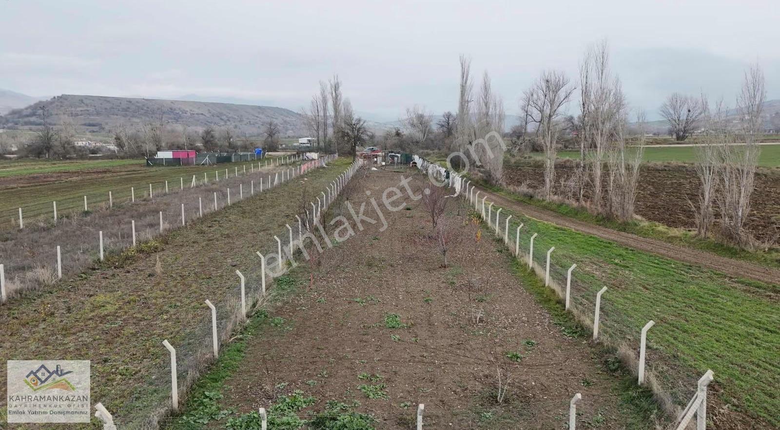 K.kazangyo'dan Satılık Peçenekte Telle Çevrili Bahçe - Görsel 9
