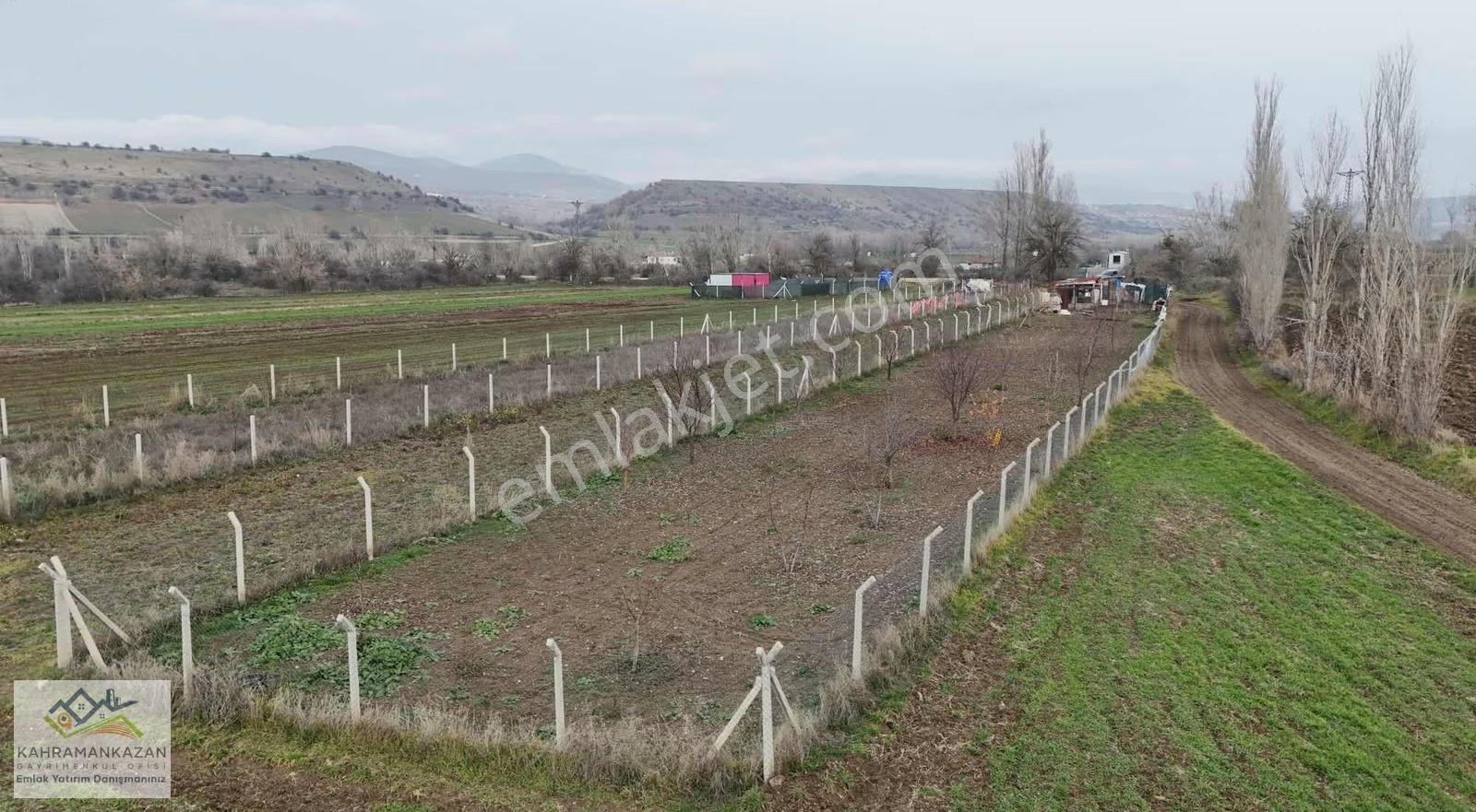 K.kazangyo'dan Satılık Peçenekte Telle Çevrili Bahçe - Görsel 2